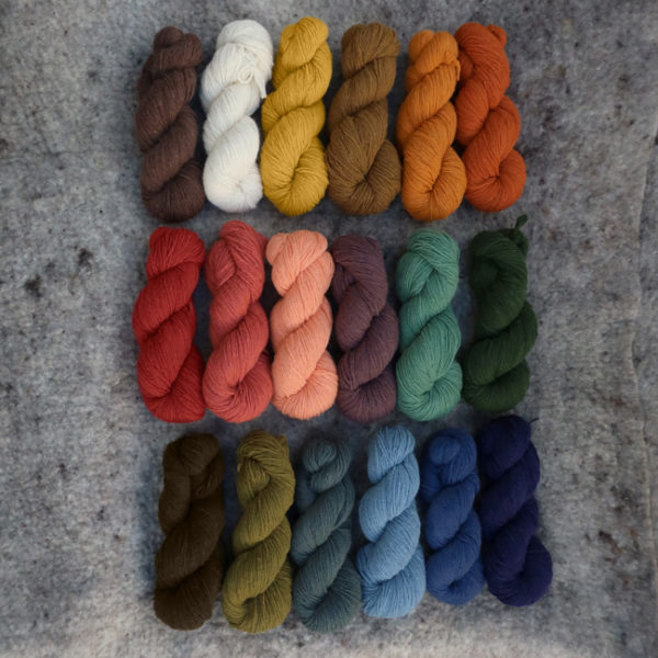 • Mérinos-Angora • SPORT