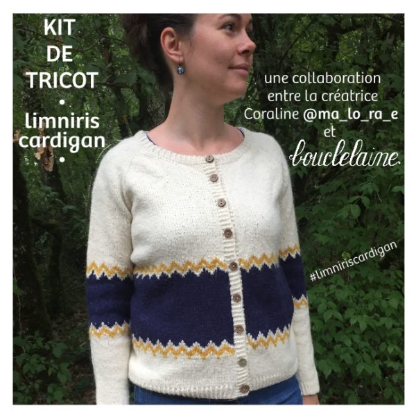 kit • Limniris • cardigan dessiné par Coraline @ma_lo_ra_e