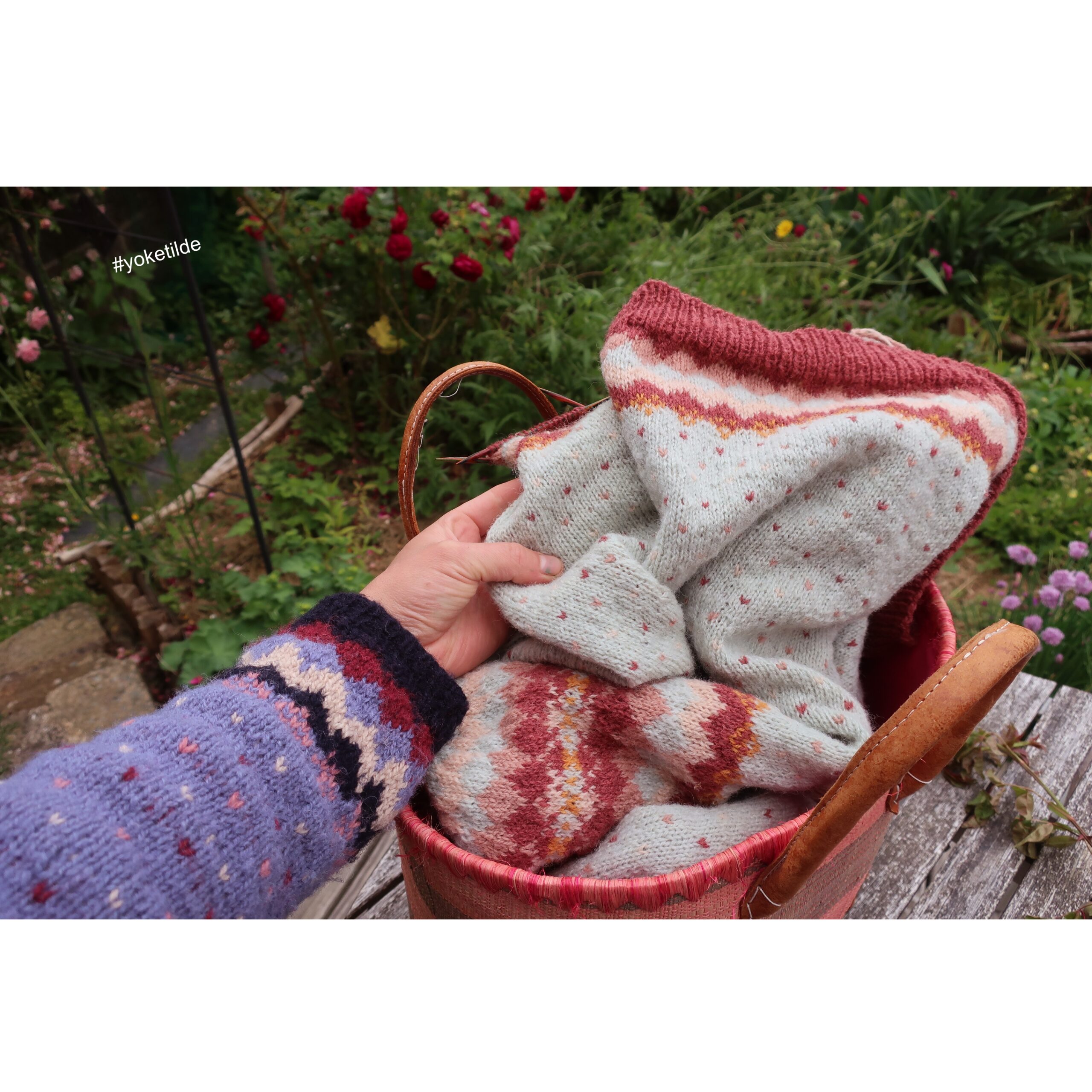 assortiment de fil • Tilde • yoke dessiné par Astrid @knitforpassion – Image 14