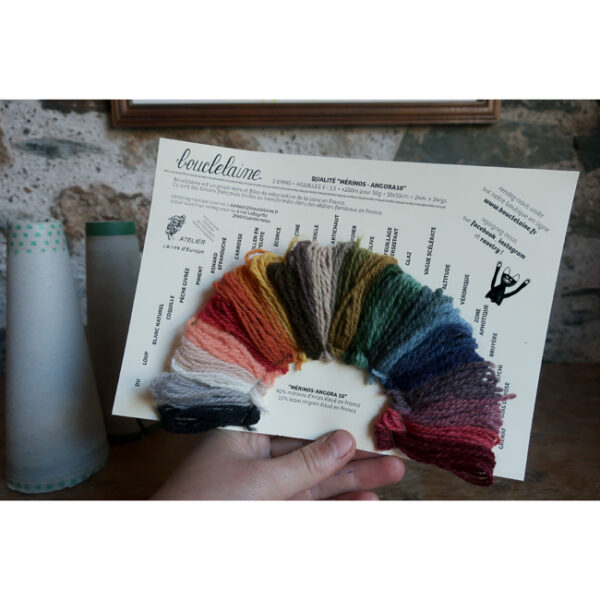 • Mérinos-angora • nuancier