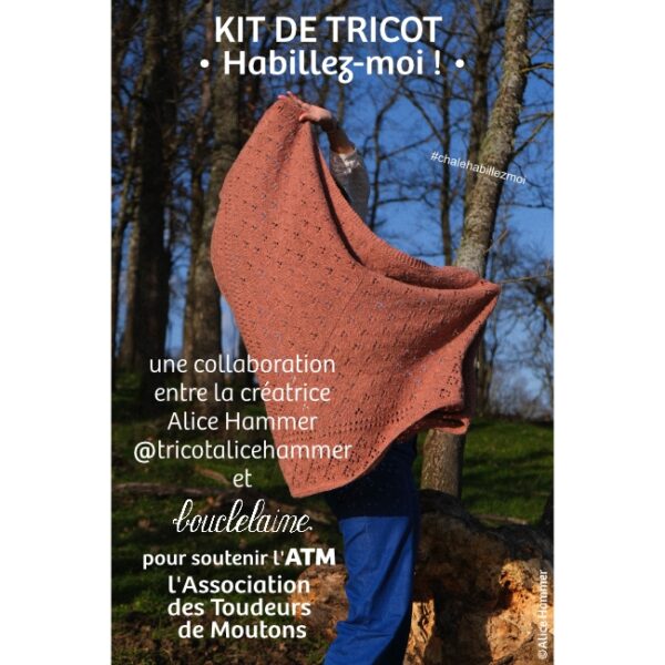 kit • Habillez-moi • châle dessiné par Alice @tricotalicehammer