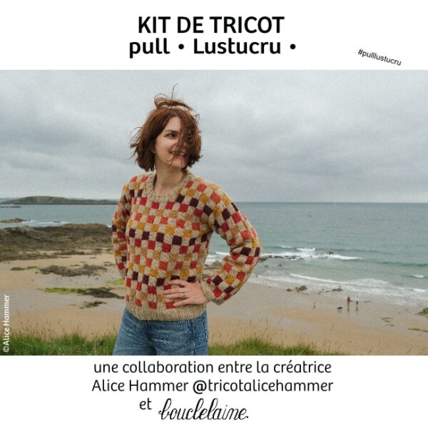 kit • Lustucru • pull dessiné par Alice @tricotalicehammer