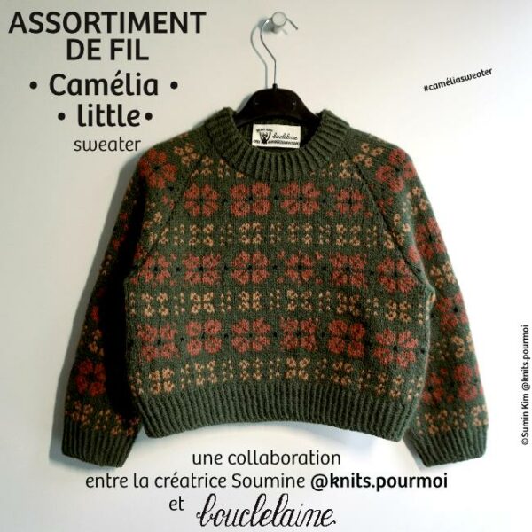assortiment de fil • Camélia little • pull dessiné par Soumine @knits.pourmoi