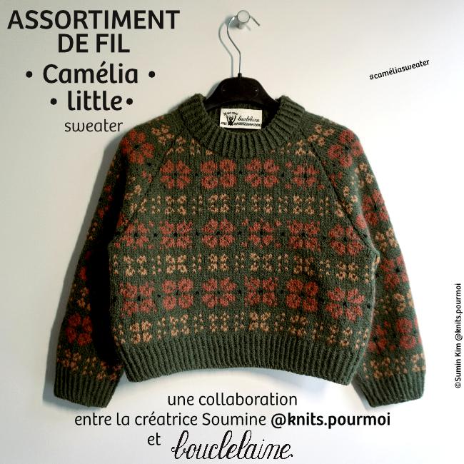 assortiment de fil • Camélia little • pull dessiné par Soumine @knits.pourmoi