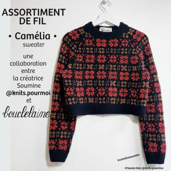 assortiment de fil • Camélia • pull dessiné par Soumine @knits.pourmoi