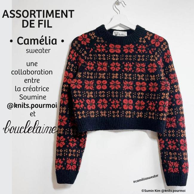 assortiment de fil • Camélia • pull dessiné par Soumine @knits.pourmoi