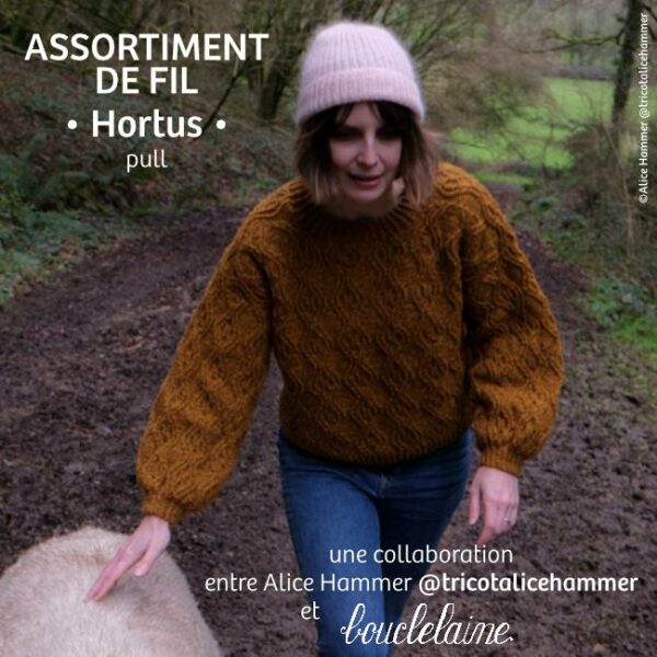 assortiment de fil • Hortus • pull dessiné par Alice Hammer @tricotalicehammer